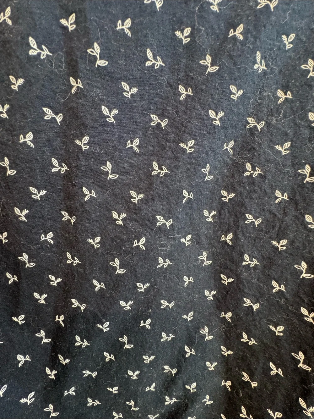 Banana Republic Organic Cotton 